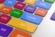 Pred registracijo domene morate vedeti … Registracija domene
